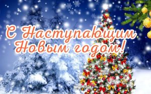 С наступающим Новым годом!